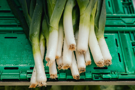 Fresh greens at small local urban market. Organic produce on sale at outdoor farmer market. Selling fresh crops and veggies harvest. European urban setting. Close up. Part of the series.の写真素材