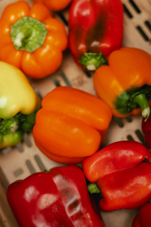 Fresh pepper at small local urban market. Organic produce on sale at outdoor farmer market. Selling...