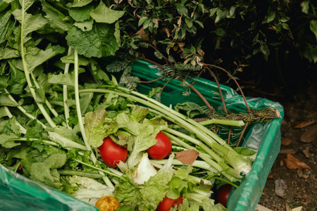 Fresh vegetables at small local urban market. Organic produce on sale at outdoor farmer market....