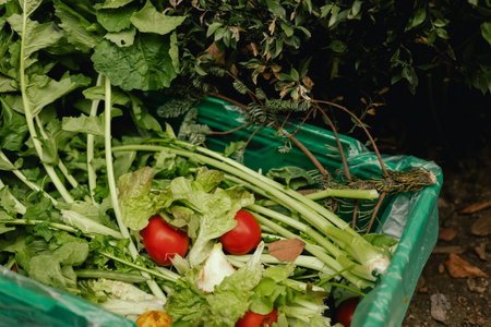Fresh vegetables at small local urban market. Organic produce on sale at outdoor farmer market....
