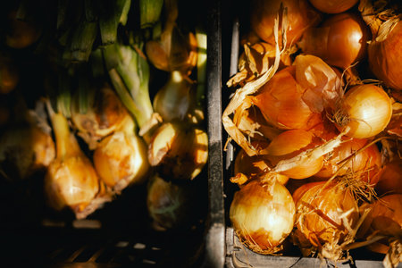 Fresh onion in plastic boxes at small local urban market. Organic produce on sale at outdoor farmer...