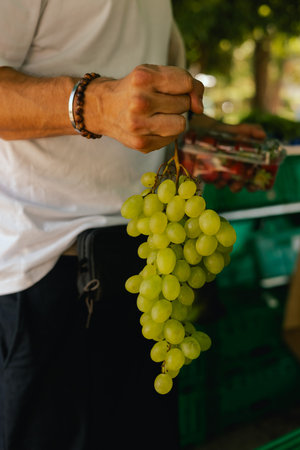 Close up of hand with a grape and berry in plastic box on the local Farmers market. Shopping At Farmers Market Stall. Close up. Part of the series.の写真素材