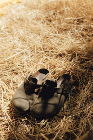 Shoes on a background of dry grass. Flexibility and lightness. Leg and foot health.の写真素材