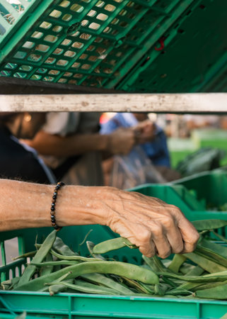 Close up of old woman's hand buying greens on the local Farmers market. Mature Female Customer Shopping At Farmers Market Stall. Close up. Part of the series.の写真素材