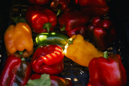 Fresh vegetables at small local urban market. Organic produce on sale at outdoor farmer market....