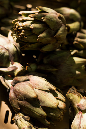 Fresh vegetables at small local urban market. Organic produce on sale at outdoor farmer market. Selling fresh crops and veggies harvest. European urban setting. Close up. Part of the series.の写真素材