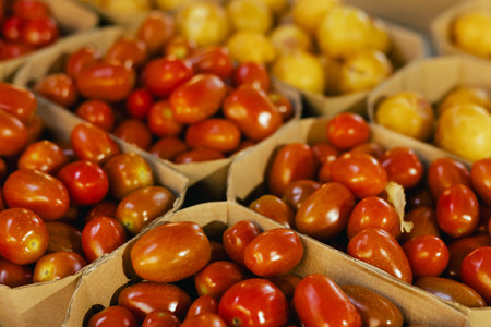 Fresh vegetables at small local urban market. Organic produce on sale at outdoor farmer market. Selling fresh crops and veggies harvest. European urban setting. Close up. Part of the series.の写真素材