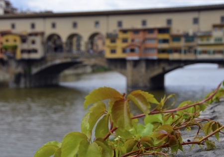 Legendary bridge of Florenceの写真素材