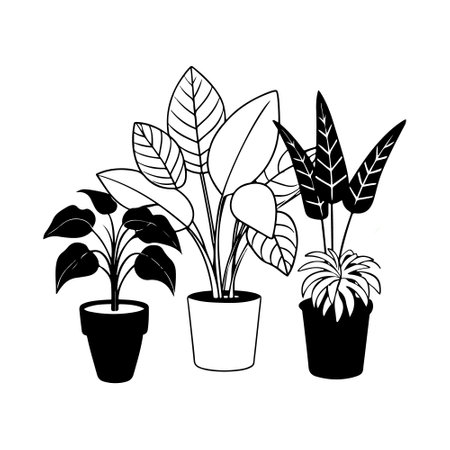 houseplants in pots icon vector illustration designicon vector illustration designのイラスト素材