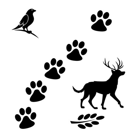 Silhouette Of A Deer Bird And Paw Prints. Professional high-quality vector illustration, perfect for print and web use.のイラスト素材