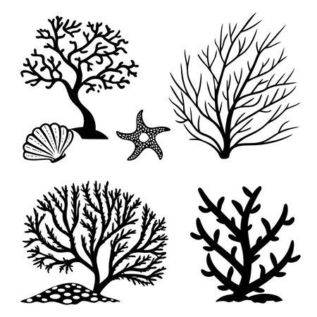 Seashell Starfish And Coral In Black Silhouette. Professional high-quality vector illustration, perfect for print and web use.のイラスト素材