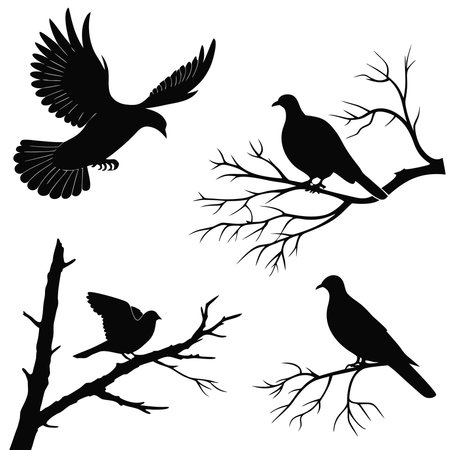 set of silhouettes of birds on a white background, vector illustrationのイラスト素材