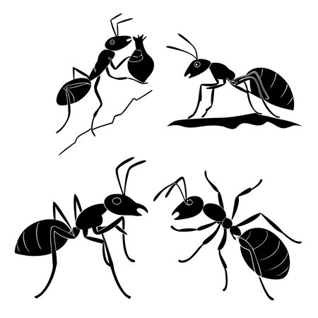 Ants black silhouettes on white background. Vector illustration for your designのイラスト素材