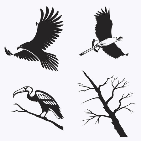 Set of silhouettes of birds on a white background. Vector illustrationのイラスト素材