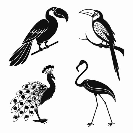 Set of silhouettes of exotic birds. Vector illustration isolated on white background.のイラスト素材