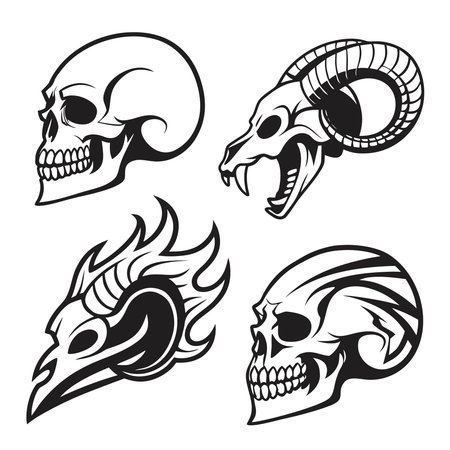 Collection Of Skull Illustrations In Black And White. Professional high-quality vector illustration, perfect for print and web use.のイラスト素材