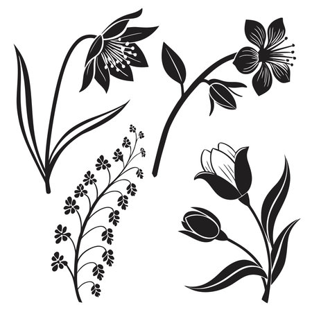 Collection Of Floral Silhouettes For Graphic Design. Professional high-quality vector illustration, perfect for print and web use.のイラスト素材