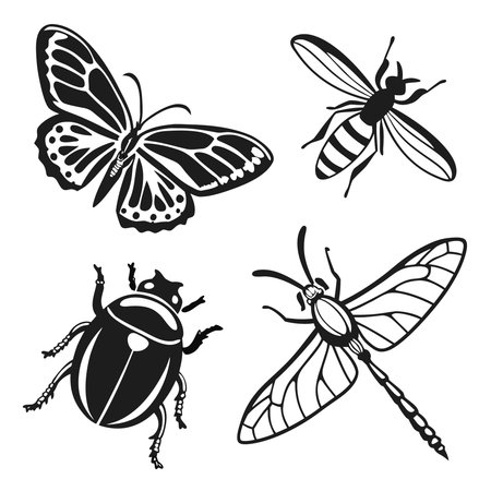 Set of black and white insects on a white background. Vector illustrationのイラスト素材