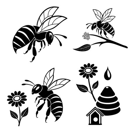 Set of black and white bees and honeycombs. Vector illustration.のイラスト素材
