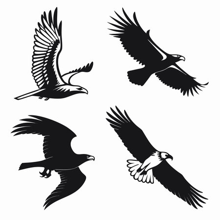 Eagle icon set. Black and white illustration of eagle vector icons for web designのイラスト素材