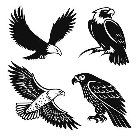 Eagle set. Vector illustration in black and white colors isolated on white backgroundのイラスト素材