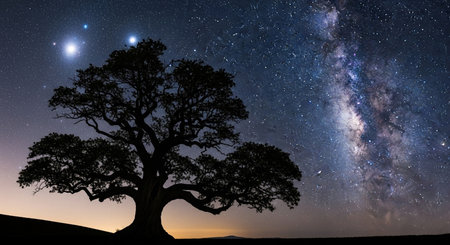 A silhouette of a tree is set against a vibrant milky way galaxy with bright stars in the dark night sky.の写真素材