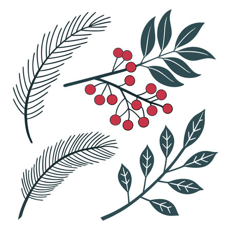 Set of Christmas and New Year elements. Pine branches, berries and leaves. Vector illustration.のイラスト素材