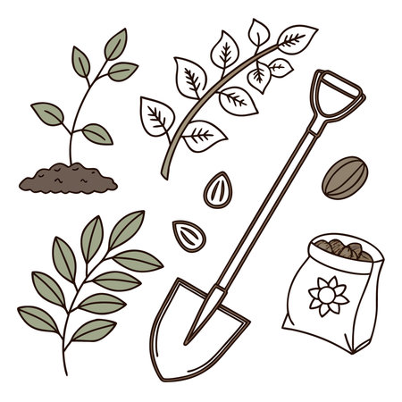 Gardening tools and seedling. Vector illustration. Hand drawn.のイラスト素材