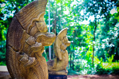  King of Nagas at Baandum Chiangraiの写真素材