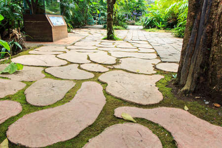 Path way made from stoneの写真素材