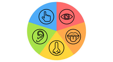 line icon set five senses nose, eye, hand, ear, mouth vector illustration