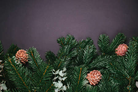 Green branches of the Christmas pine tree with cones on the black backgroundの写真素材