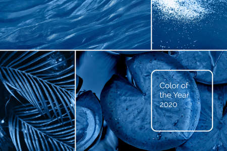 Color of the year 2020 classic trendy collageの写真素材