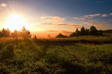 Dawn meeting in the fieldの写真素材