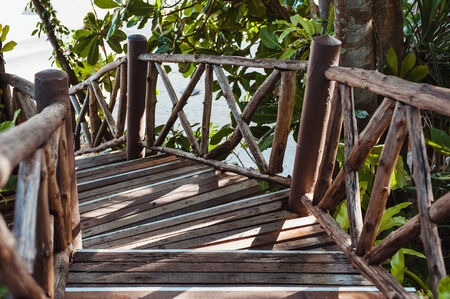 Wood path walkway in deep tropical forestの写真素材