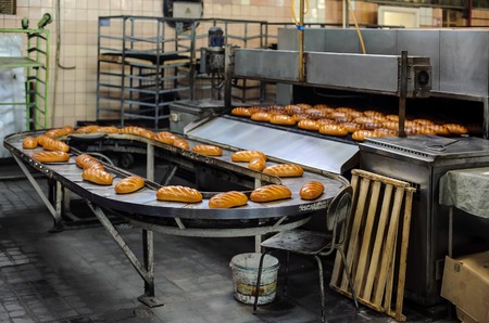 freshly baked hot bread loafs on the production line
