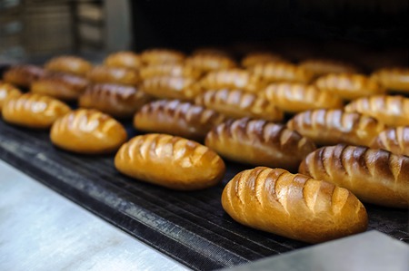 freshly baked hot bread loafs on the production line