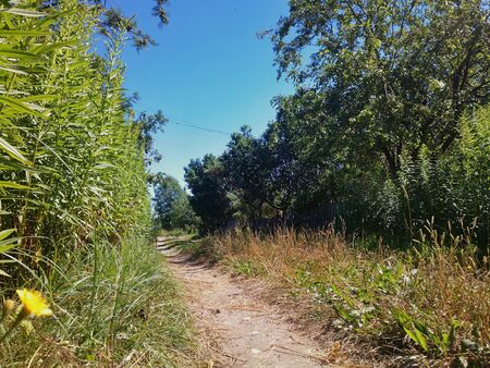 Footpath の素材