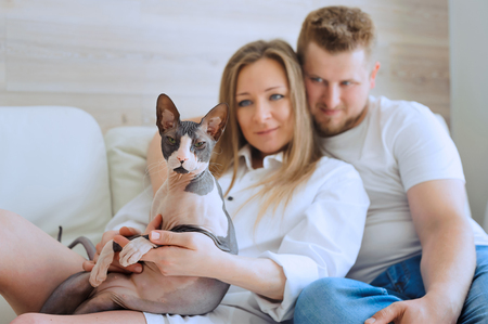 Attractive couple sitting together on sofa and holding a Sphynx catの写真素材