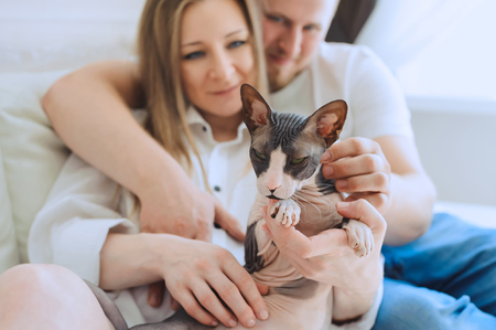 Attractive couple sitting together on sofa and holding a Sphynx catの写真素材