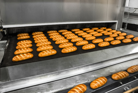 Loafs of fresh bread out of the oven on a conveyor belt in the bakery.