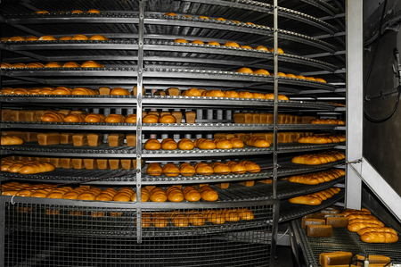 Baked Breads on the production line at the bakery