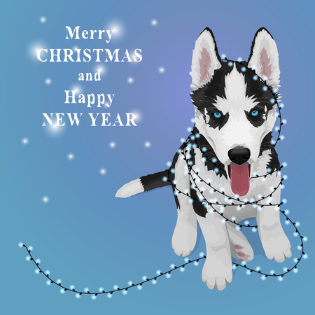 Puppy portrait with a Christmas garland. Black and white Siberian husky with blue eyes. Christmas and New Year greeting card. The dog is a symbol of 2018. Vector illustrationのイラスト素材
