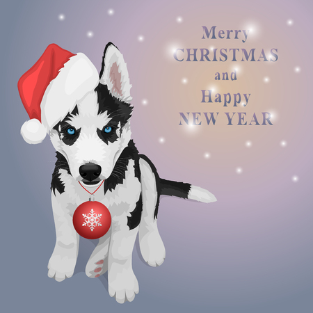 Puppy portrait in a red Santa's hat with Christmas ball. Black and white Siberian husky with blue eyes. Christmas and New Year greeting card. The dog is a symbol of 2018. Vector illustrationのイラスト素材