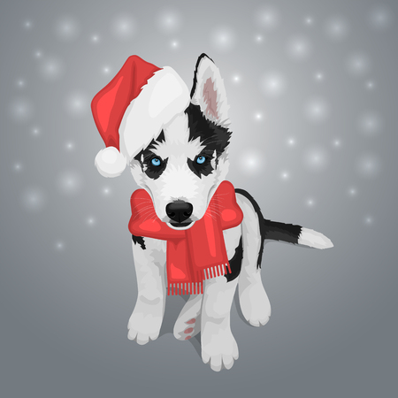 Puppy portrait in a red Santa's hat. Black and white Siberian husky with blue eyes. Merry Christmas and Happy New Year. The dog is a symbol of 2018. Vector illustrationのイラスト素材