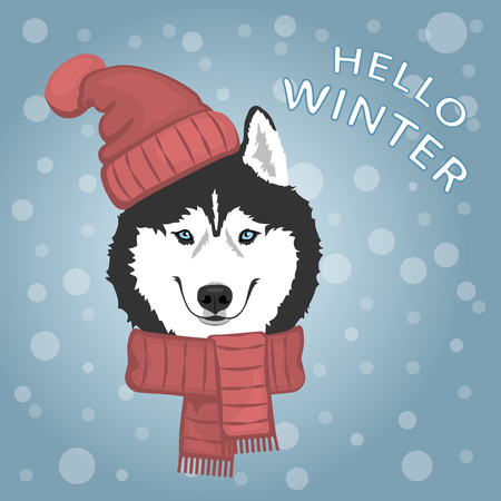 Dog portrait in red hat and scarf. Black and white Siberian husky with blue eyes. The dog is a symbol of 2018. Winter greeting card. Vector illustrationのイラスト素材