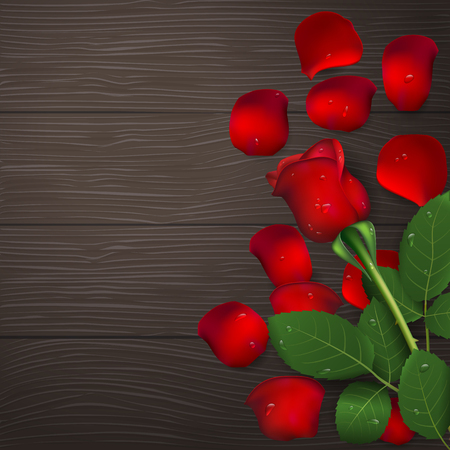 Red rose and petals with drops of water on wooden background.のイラスト素材