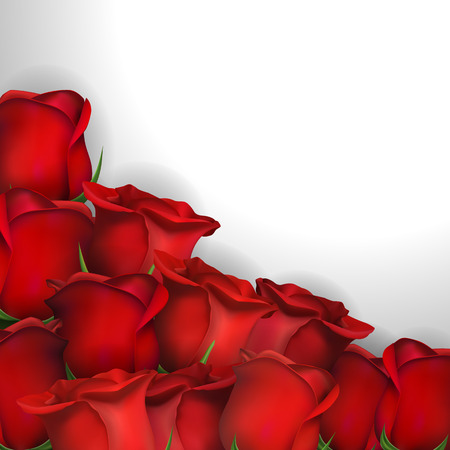 Red roses on white background. Greeting card for Valentines day, womens day, mothers day, birthday. Space for your text. Vector illustrationのイラスト素材