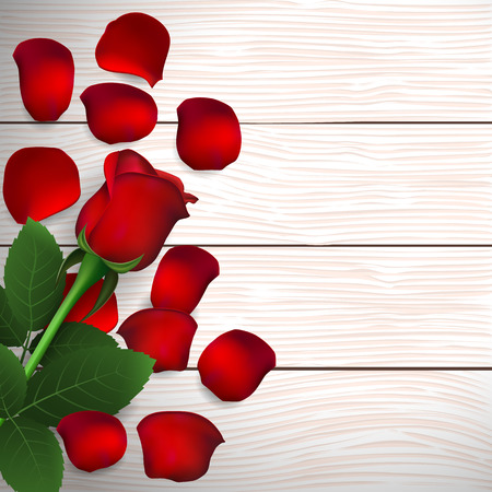 Red rose and rose petals on wooden background. Greeting card for Valentines day, womens day, mothers day, birthday. Top view with space for your text. Vector illustrationのイラスト素材