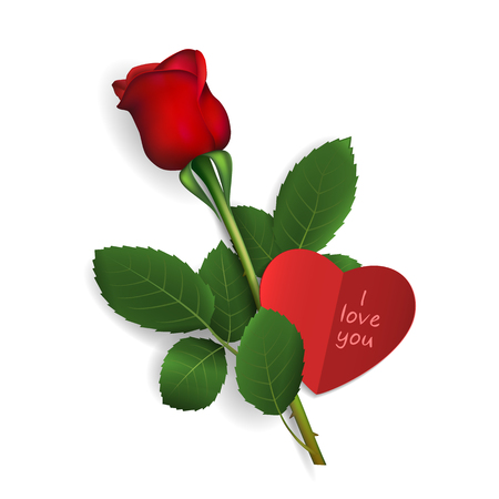 Red rose with red paper heart on white background. Gift for the Valentine's day. Love concept. Inscription I love you . Vector illustrationのイラスト素材